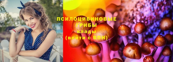 кокс Алексин