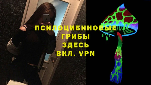 кокс Алексин