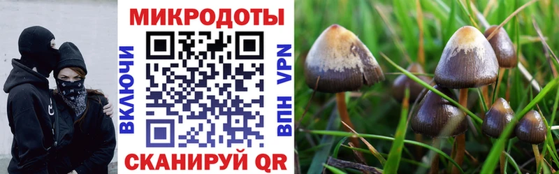 Галлюциногенные грибы ЛСД  Беломорск 